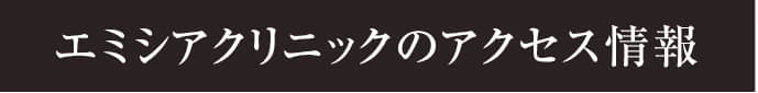 エミシアクリニックアクセス