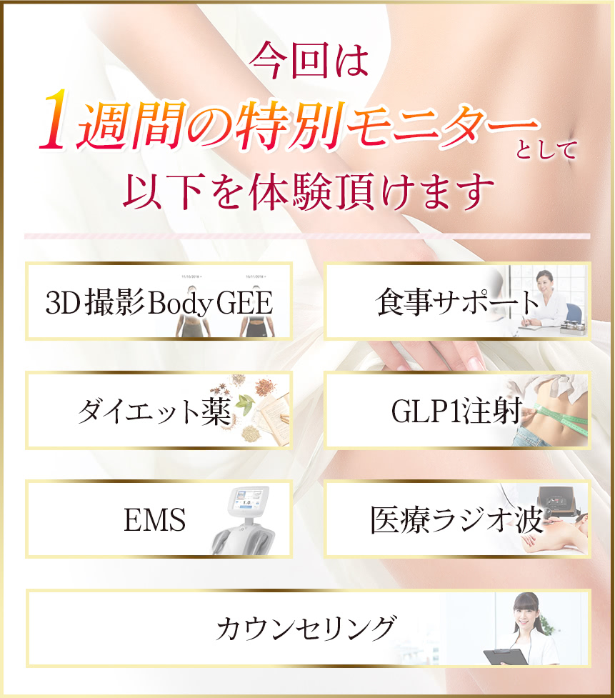 全身医療ダイエットプログラム