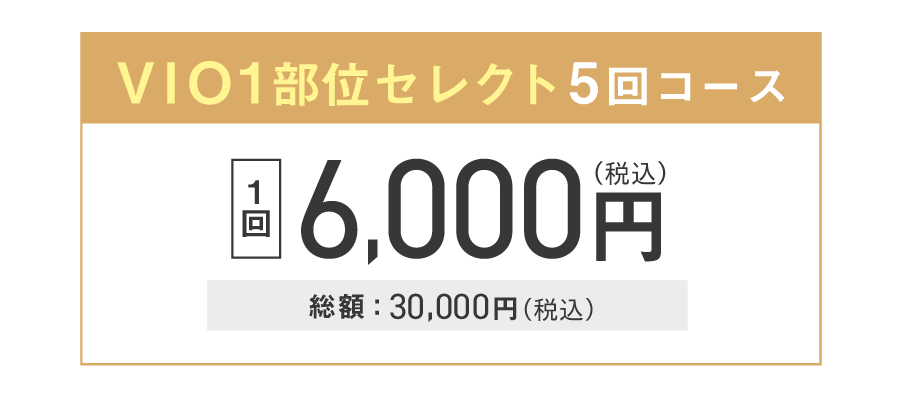 VIO1部位セット5回コース