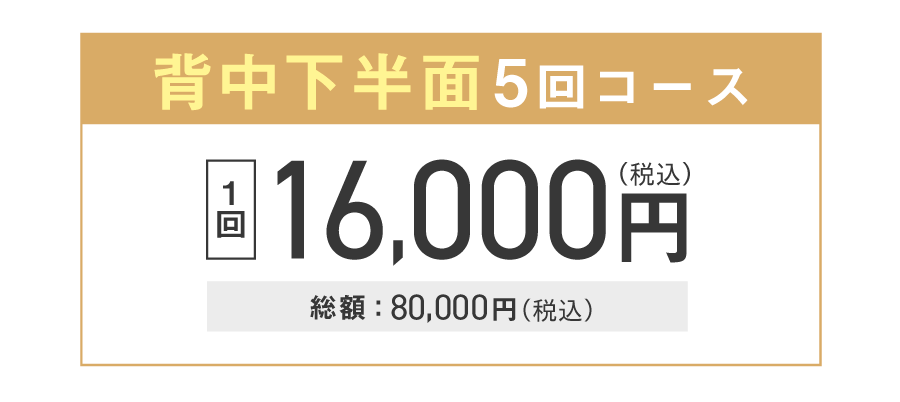 背中下半面5回コース