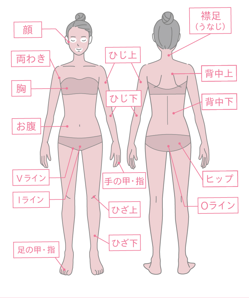 全身20部位