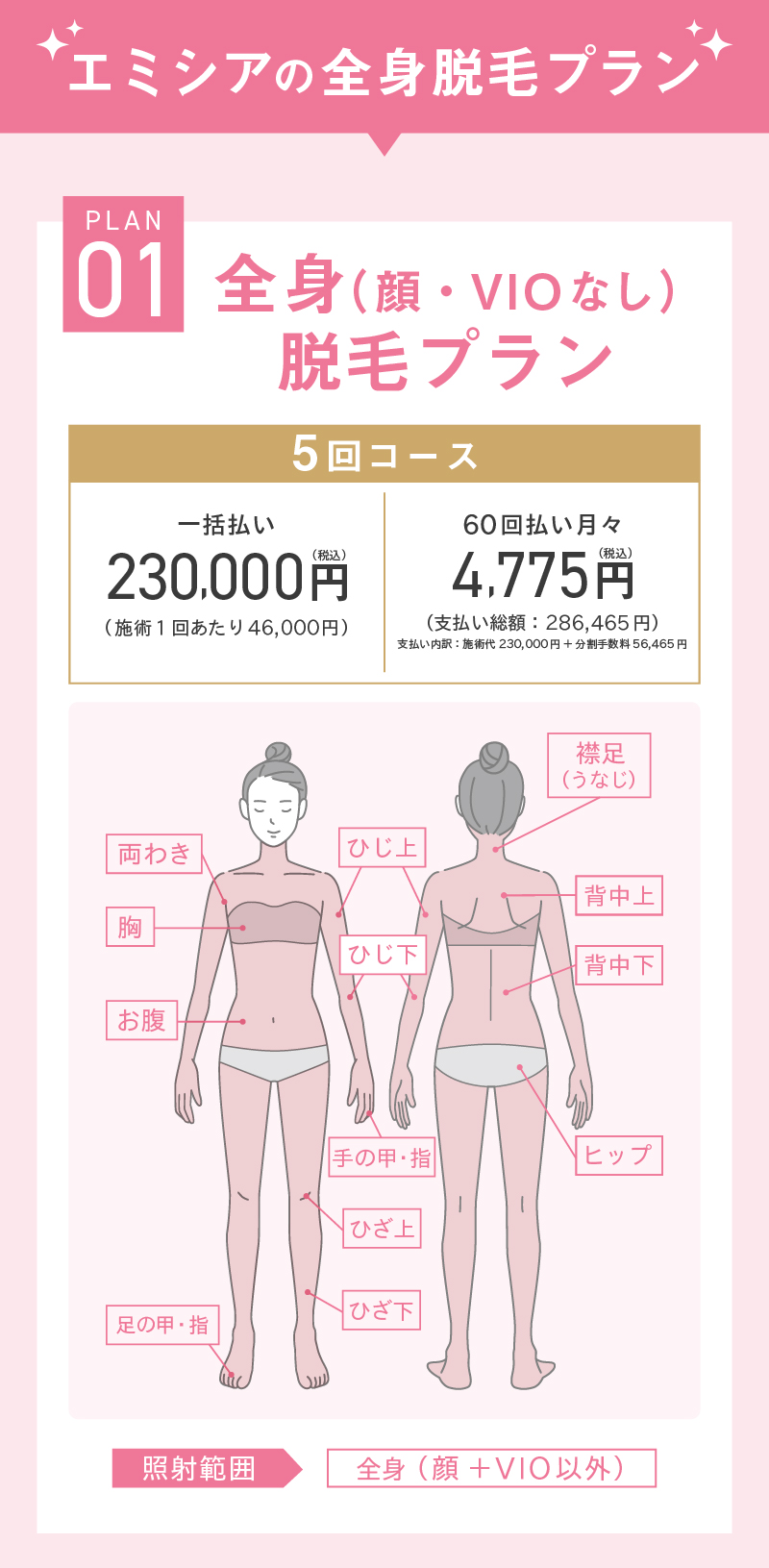 全身（顔・VIOなし）脱毛プラン