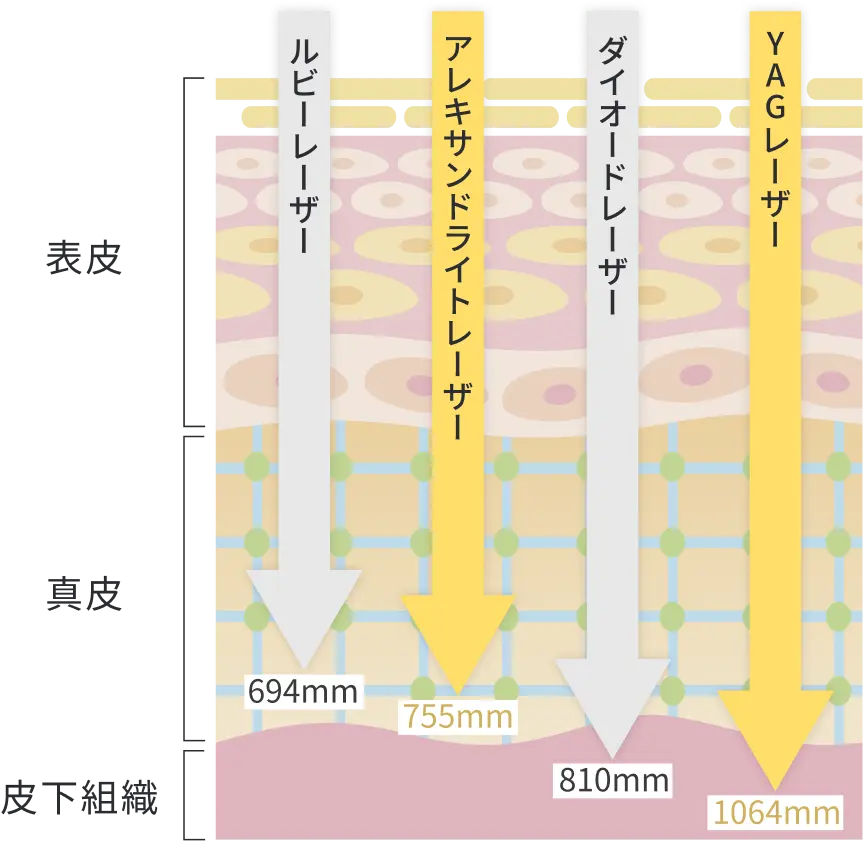 お肌の状態や部位によって、2種類のレーザーの使い分けた施術です。