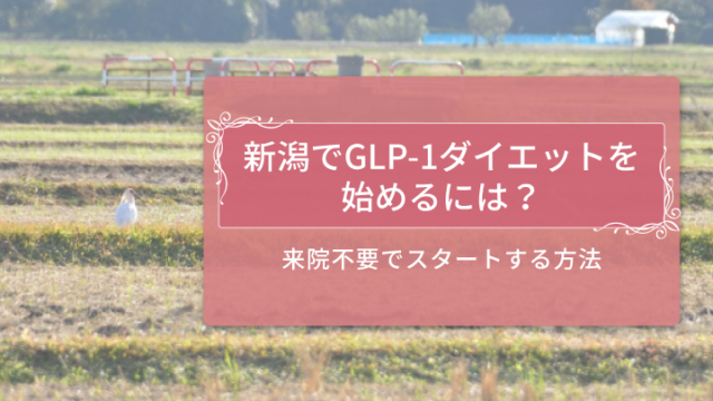 新潟でGLP-1ダイエットを受ける方法