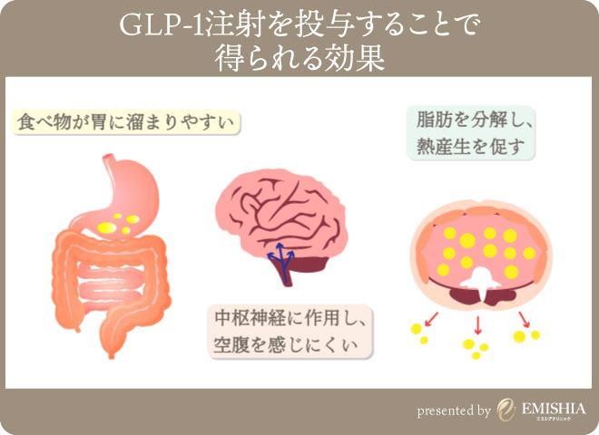 GLP-1注射の効果