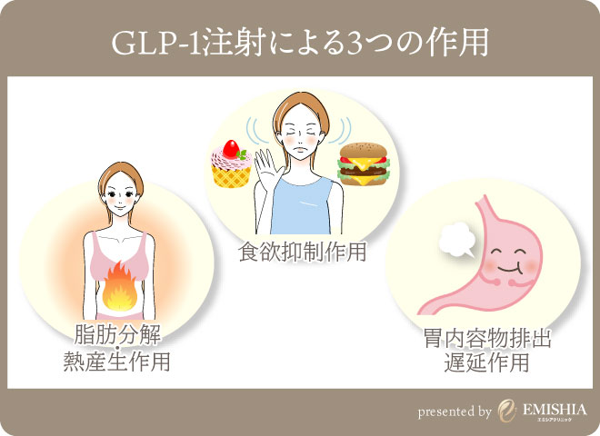 GLP-1　3つの作用