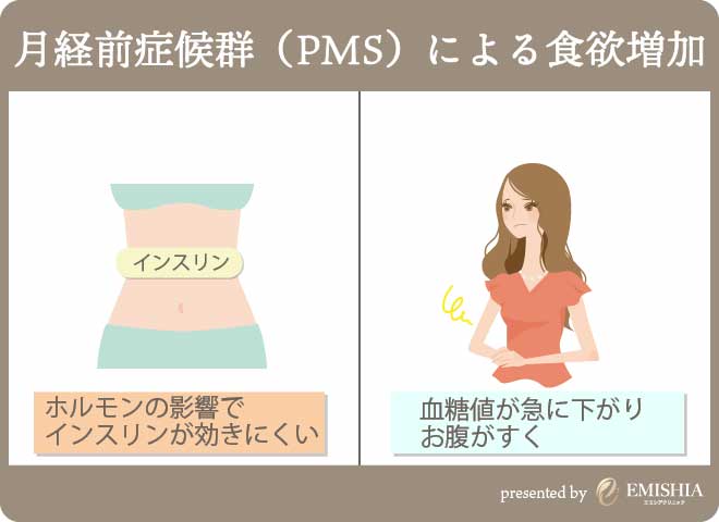 食欲が止まらない時の対処法を紹介 理由はストレスや生理 医師が詳しく解説します Emishia Style エミシア スタイル 渋谷エミシアクリニックが公式でお届けする美容総合メディア