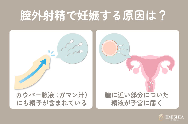 膣外射精で妊娠する原因は？