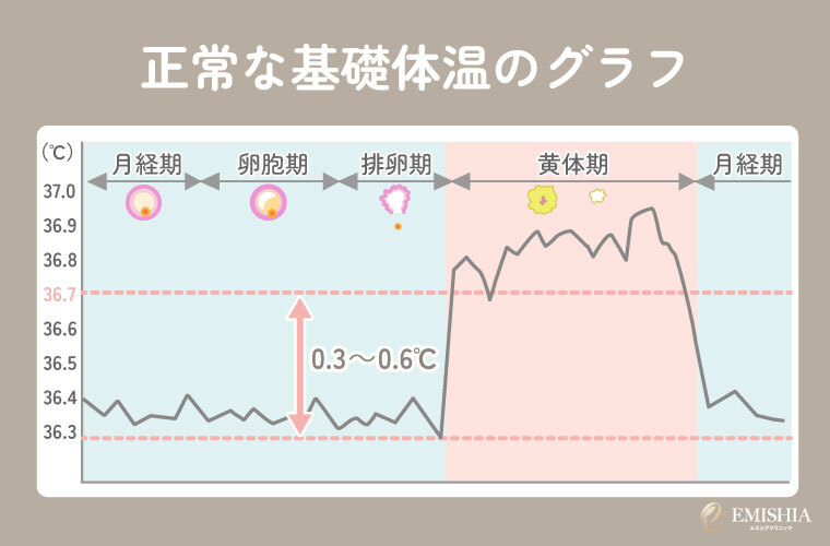 正常な基礎体温のグラフ