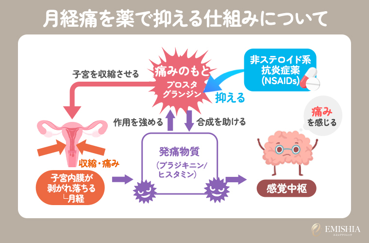 ①月経痛を薬で抑える仕組みについて (1)