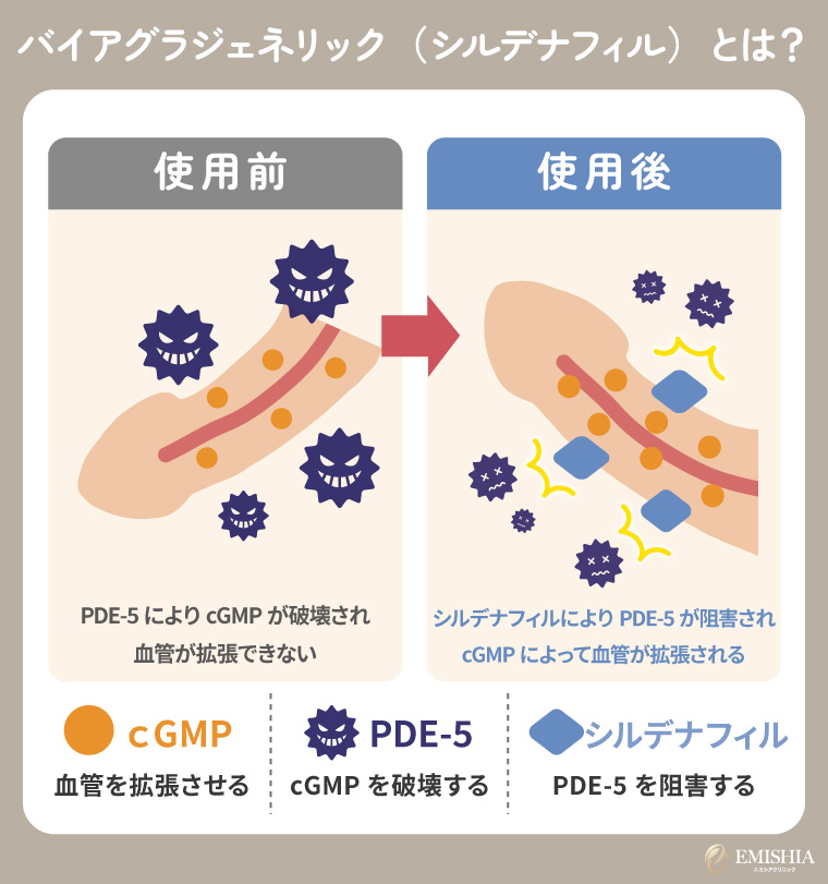 バイアグラジェネリック(シルデナフィル)とは?