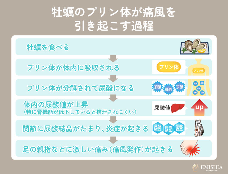 牡蠣のプリン体が痛風を引き起こすフロー
