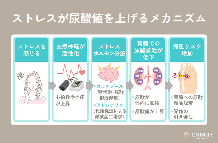 ストレスが尿酸値を上げるメカニズム