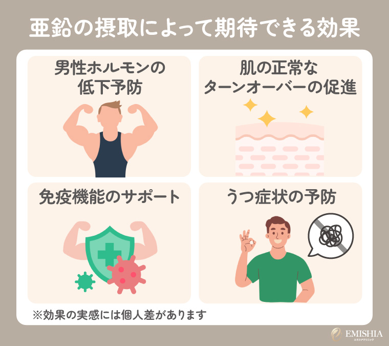 亜鉛の摂取によって期待できる代表的な効果