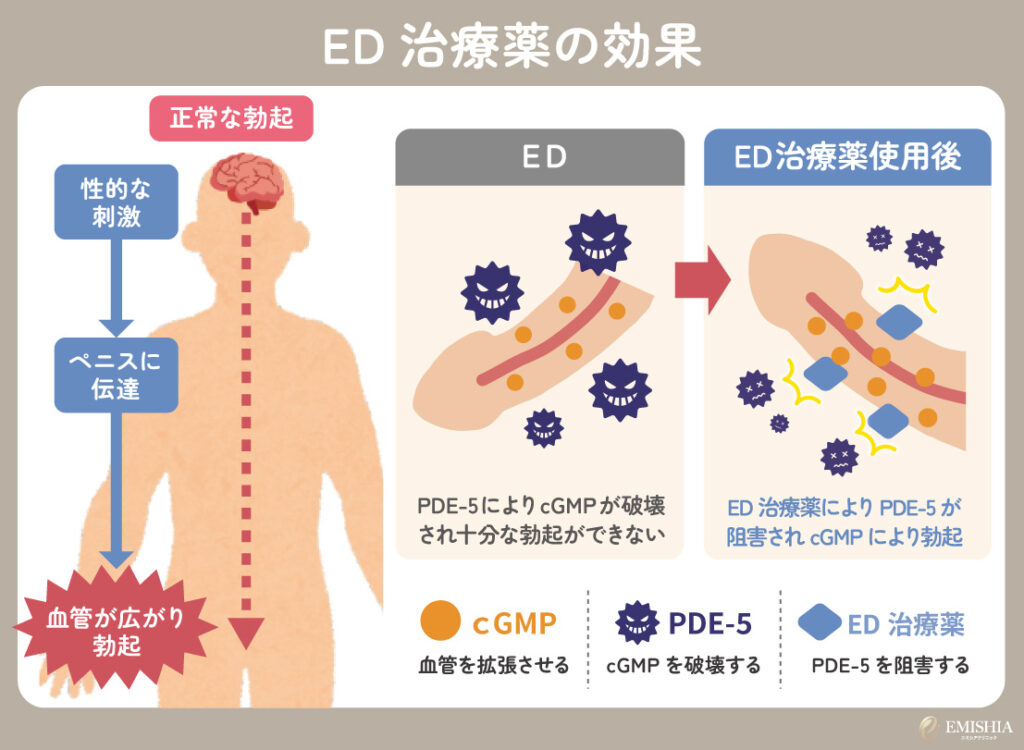 ED治療薬の効果