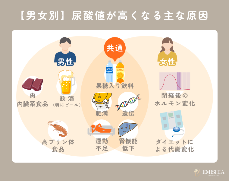 尿酸値が高くなる男女別の要因