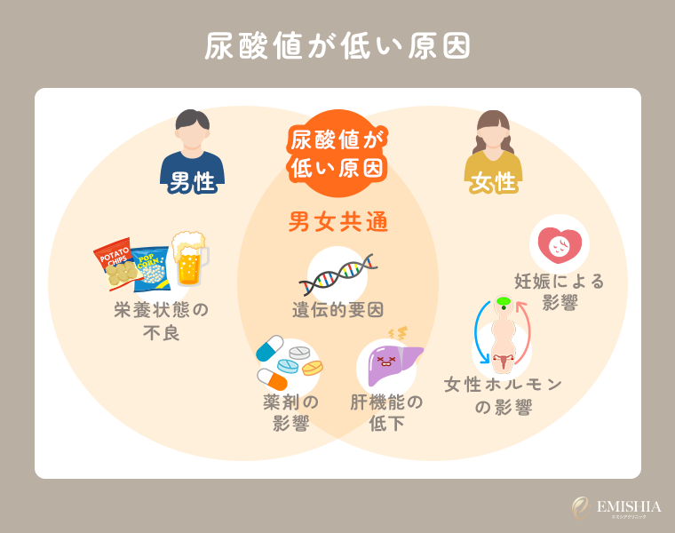 男女別の尿酸値が低い原因