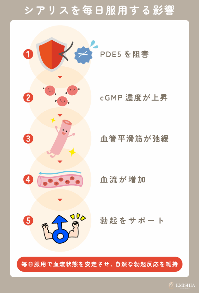シアリスを毎日服用する影響