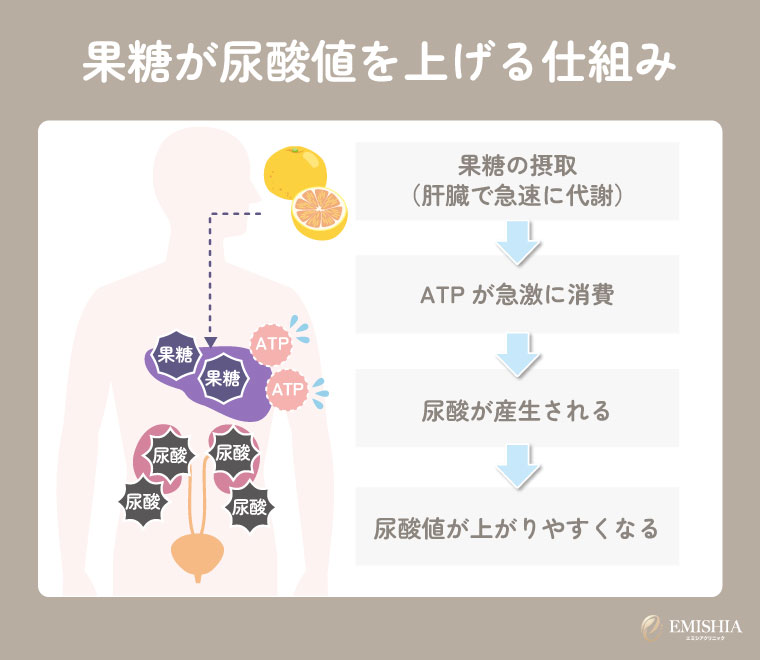 果糖が尿酸値を上げる仕組み