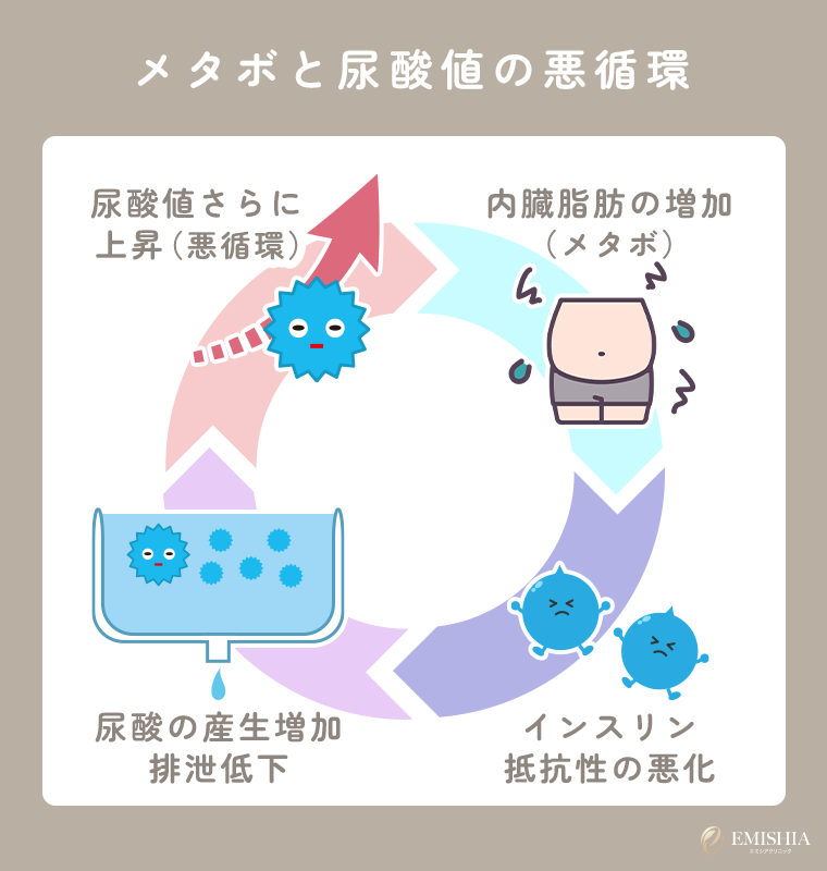 メタボと尿酸値の悪循環