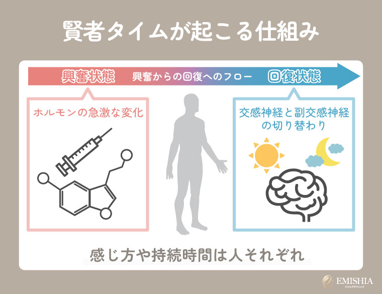 賢者タイムが起こる仕組み