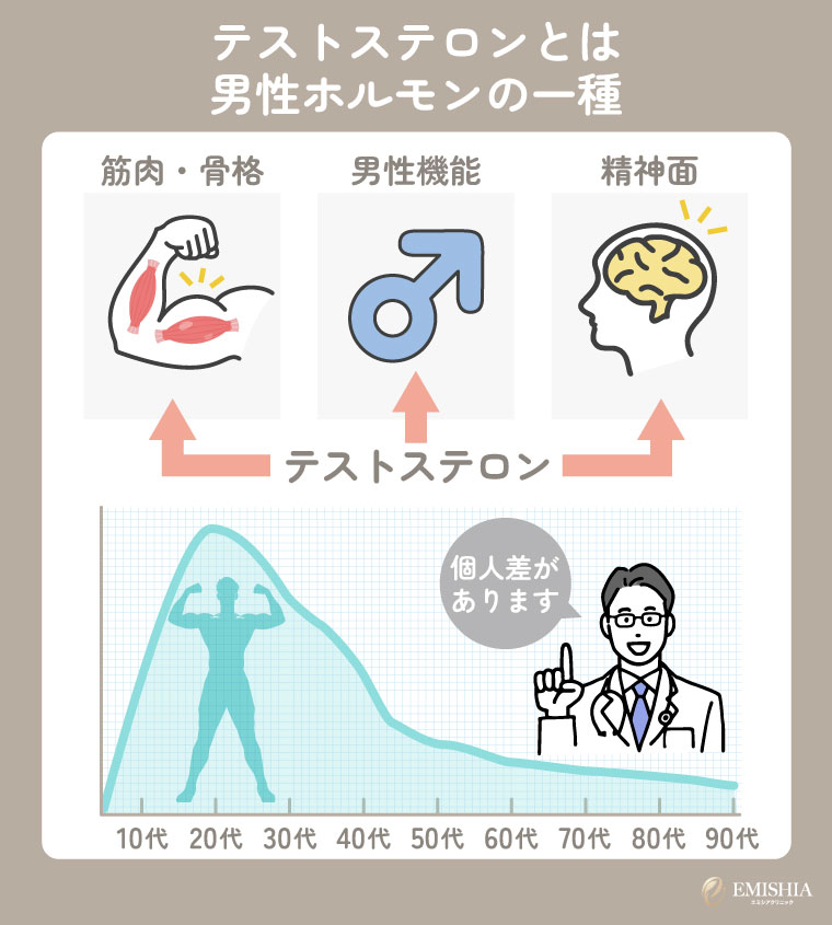 テストステロンとは？男性にとって重要な理由を解説