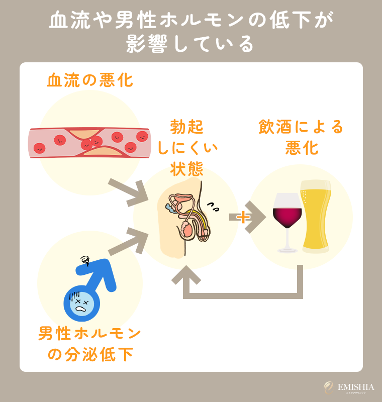 血流や男性ホルモンの低下が影響している