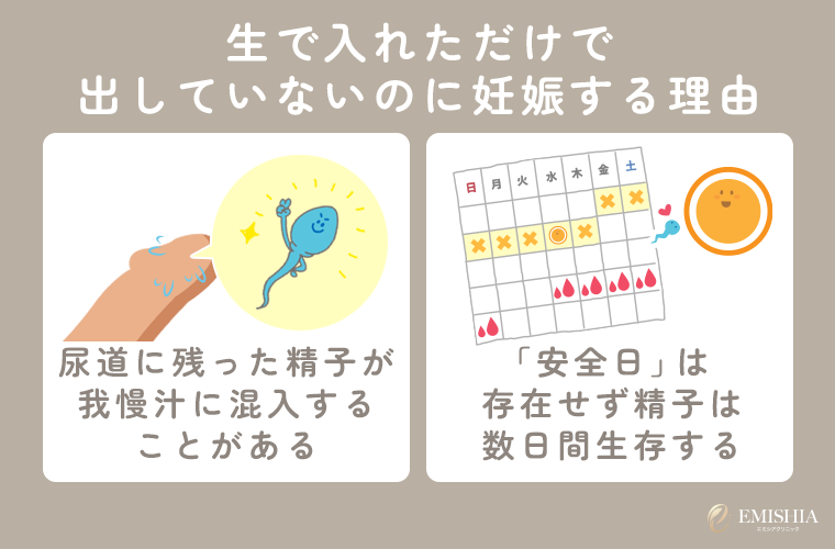 生で入れただけで出していないのに妊娠する理由