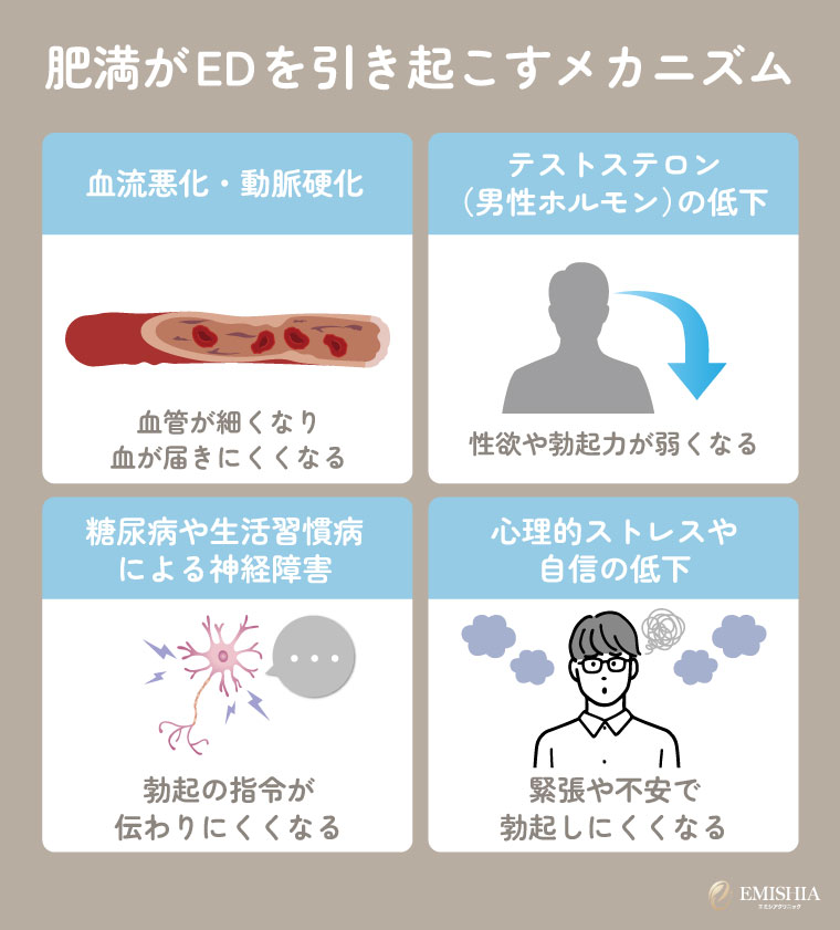 肥満がEDを招く主な原因