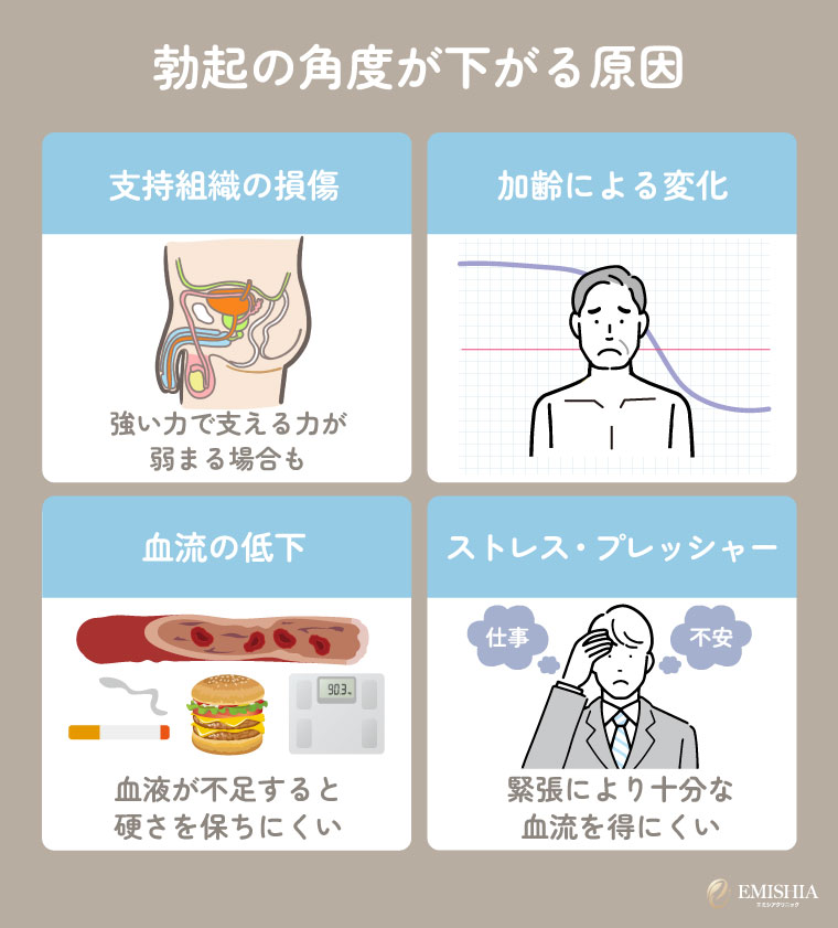 勃起の角度が下がる原因