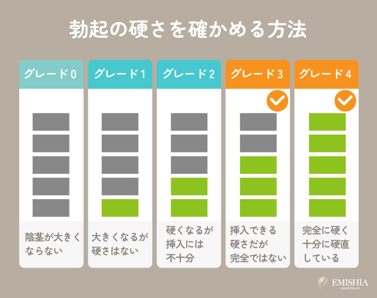 勃起の硬さを確かめる方法（EHS）